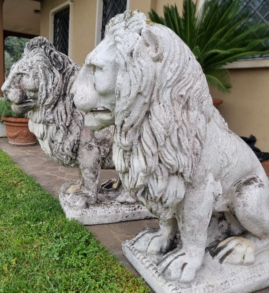 Coppia di Leoni Veneziani in Pietra Ricostruita – Fine ‘800-photo-4