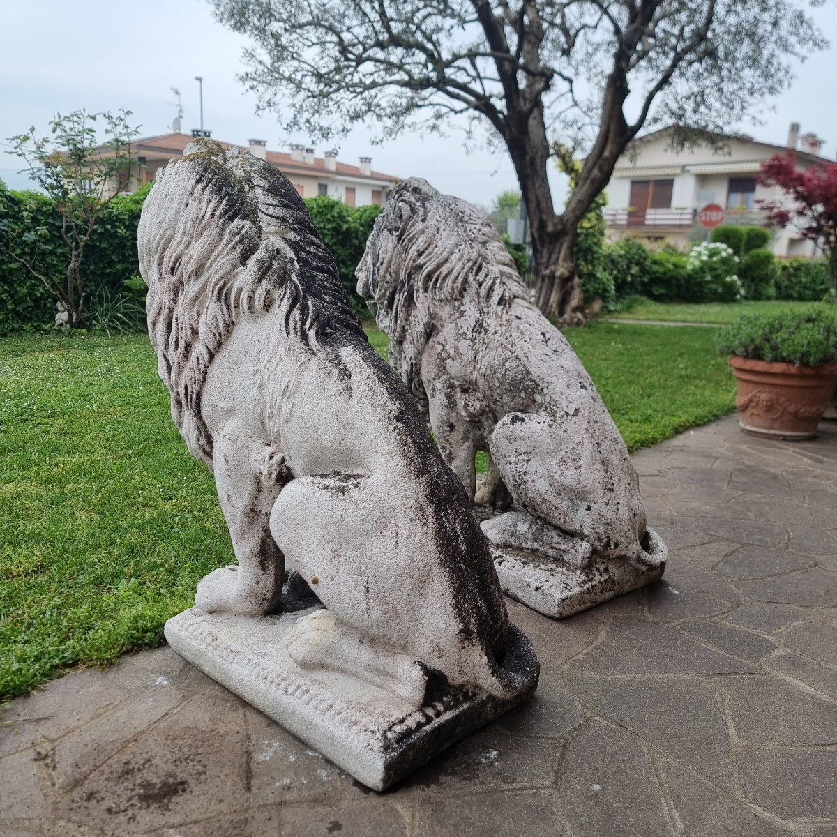 Coppia di Leoni Veneziani in Pietra Ricostruita – Fine ‘800-photo-6