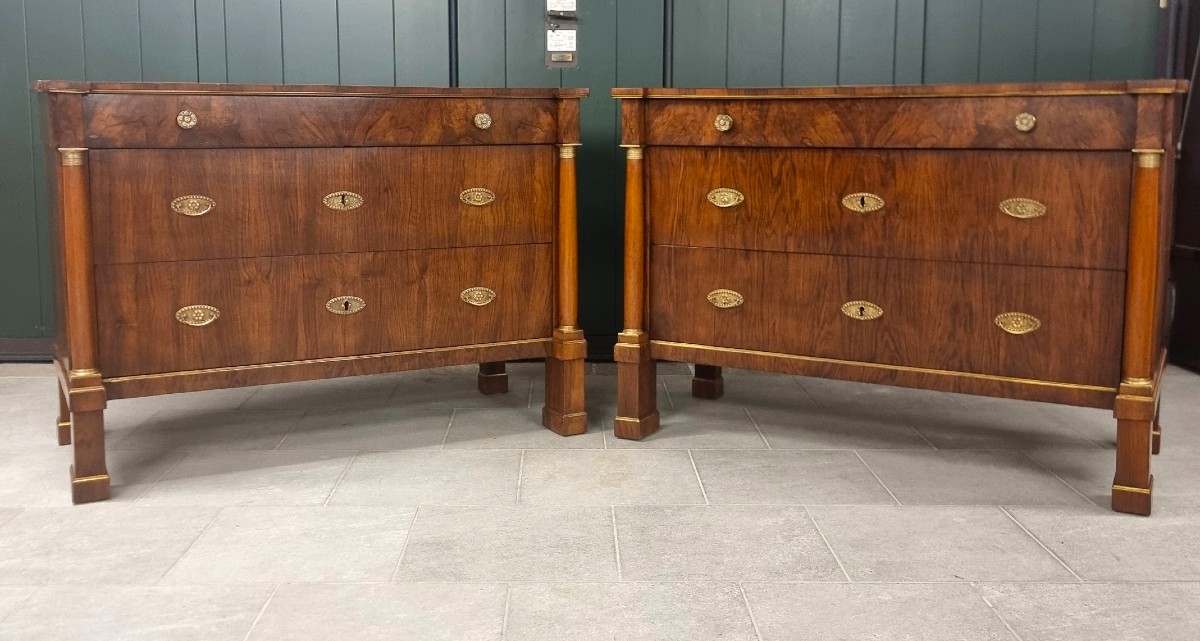 Coppia di cassettoni 1810 Impero in noce e radica alta classe-photo-2