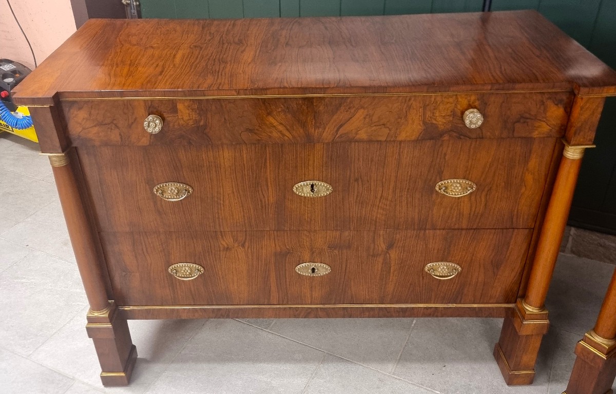 Coppia di cassettoni 1810 Impero in noce e radica alta classe-photo-4