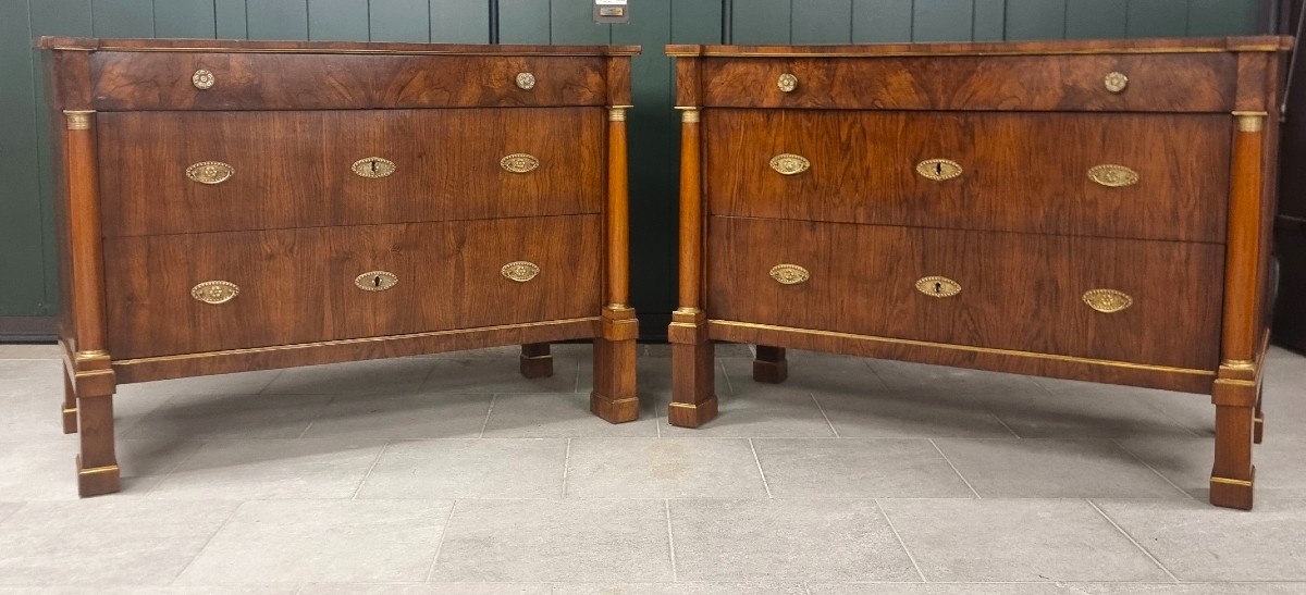 Coppia di cassettoni 1810 Impero in noce e radica alta classe-photo-8