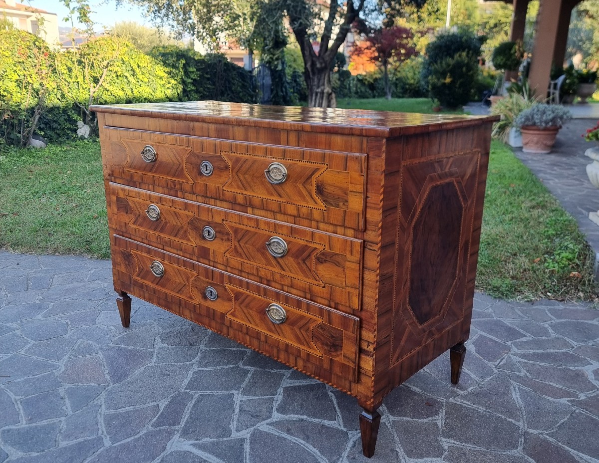 Cassettone Modenese del 700 Luigi XVI in noce con diverse essenze ed intarsi-photo-2