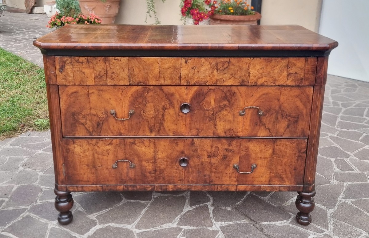 Coppia di cassettoni in noce con intarsi 1850-photo-6