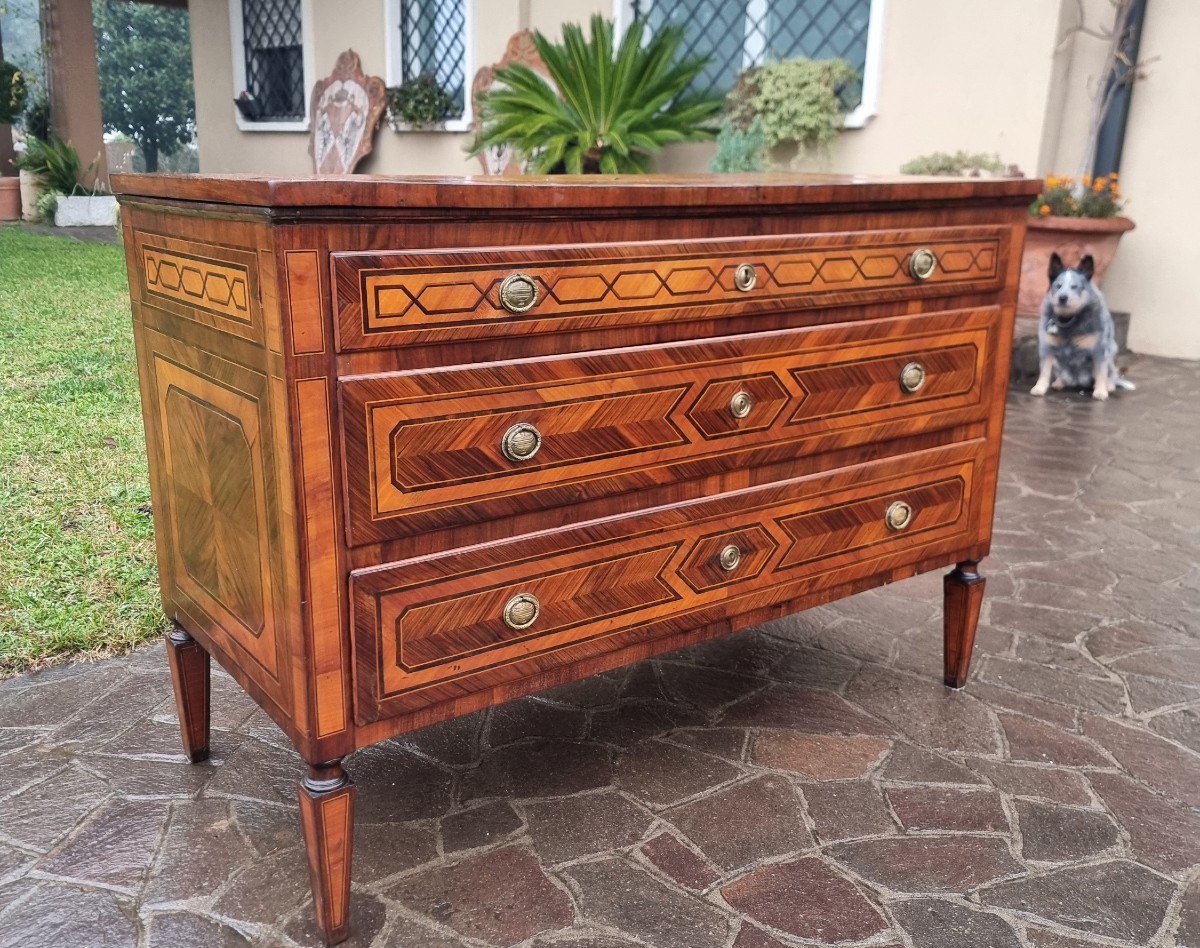 Cassettone Emiliano del ’700 Luigi XVI-photo-3