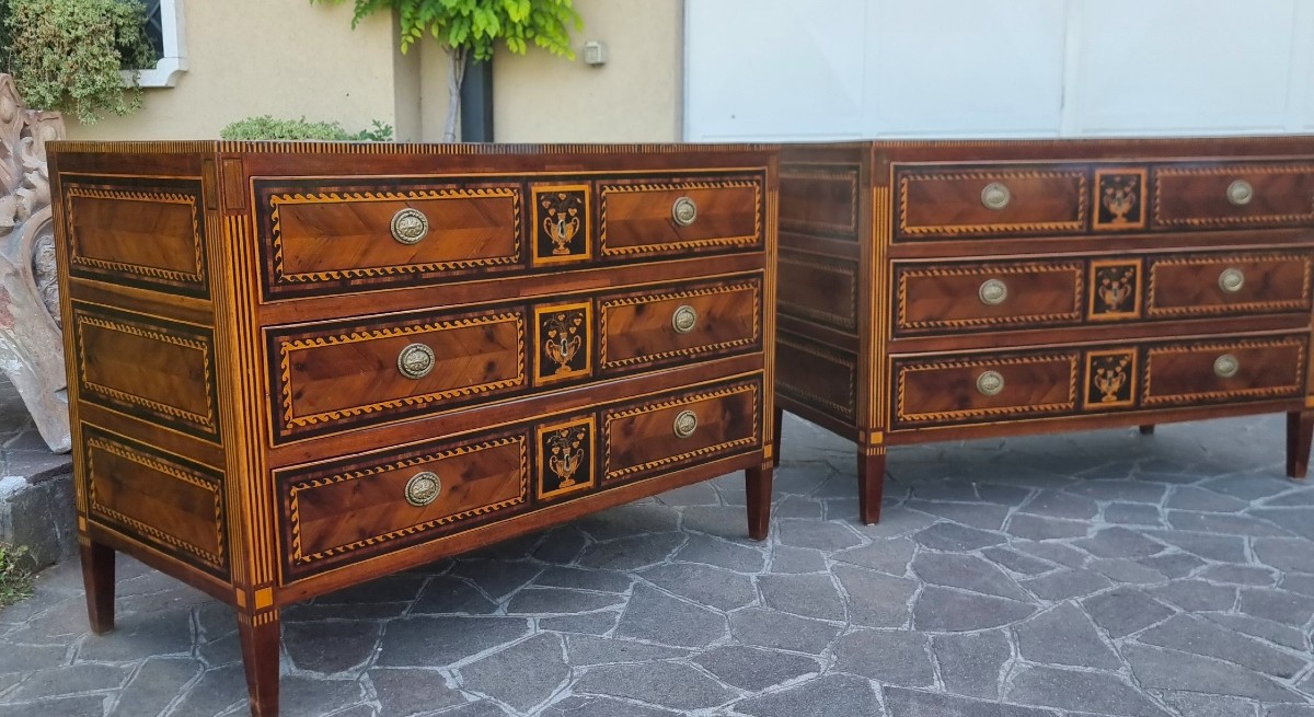 Coppia di cassettoni del 700 Direttorio Napoletani noce acero amaranto e bois de rose-photo-3