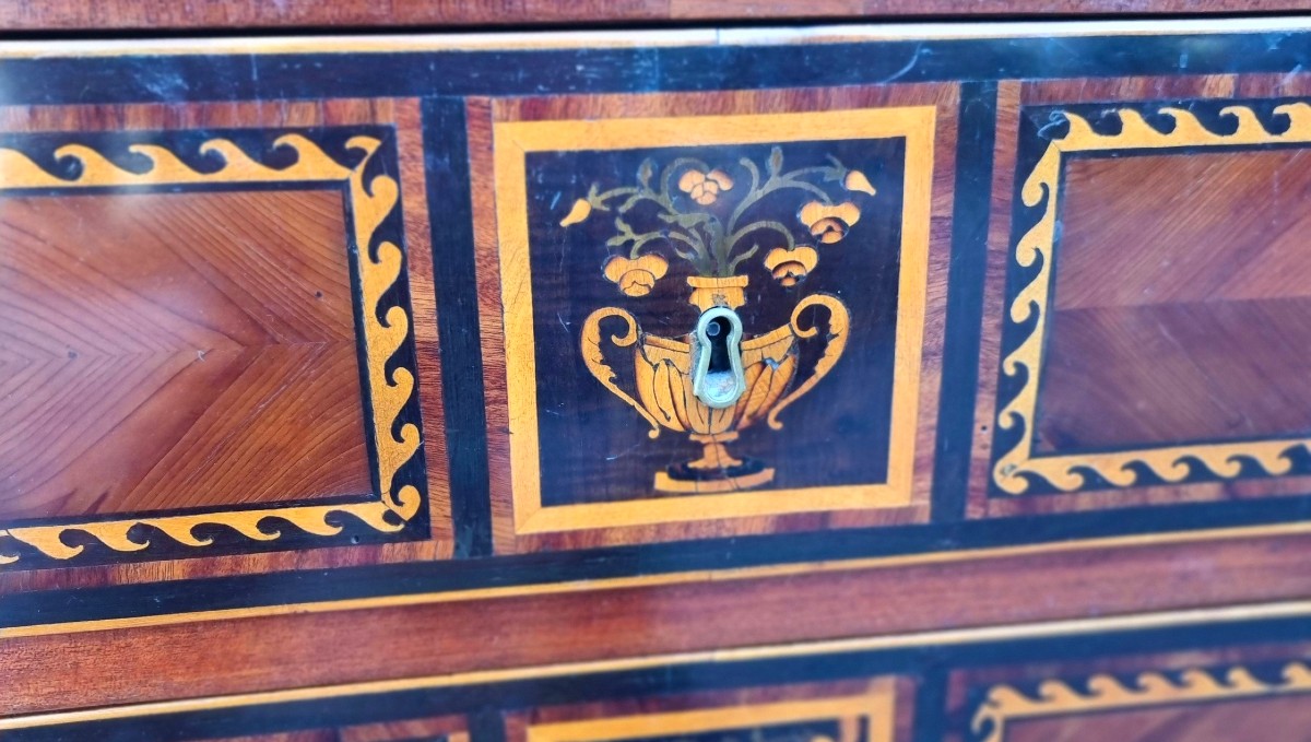 Coppia di cassettoni del 700 Direttorio Napoletani noce acero amaranto e bois de rose-photo-4