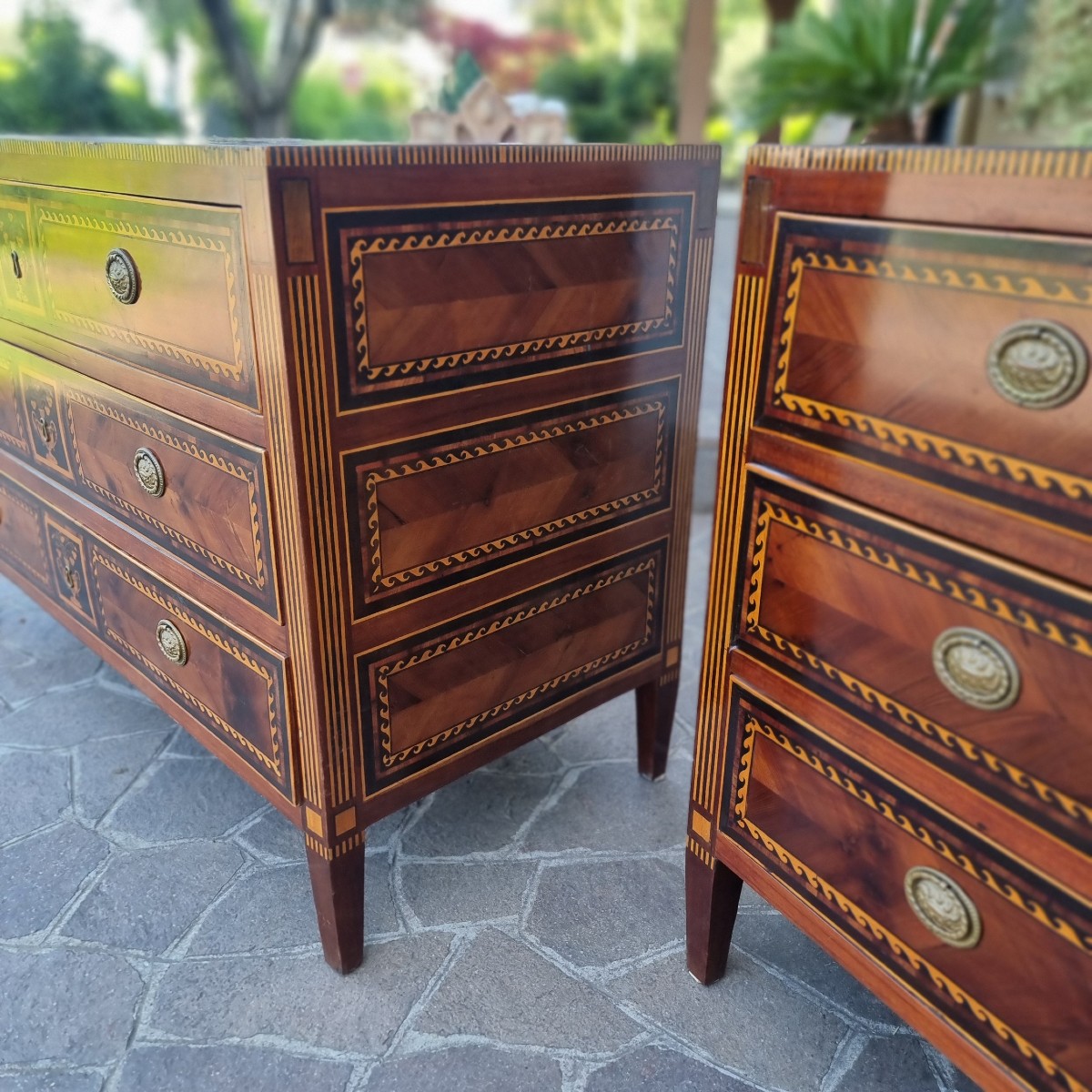 Coppia di cassettoni del 700 Direttorio Napoletani noce acero amaranto e bois de rose-photo-6