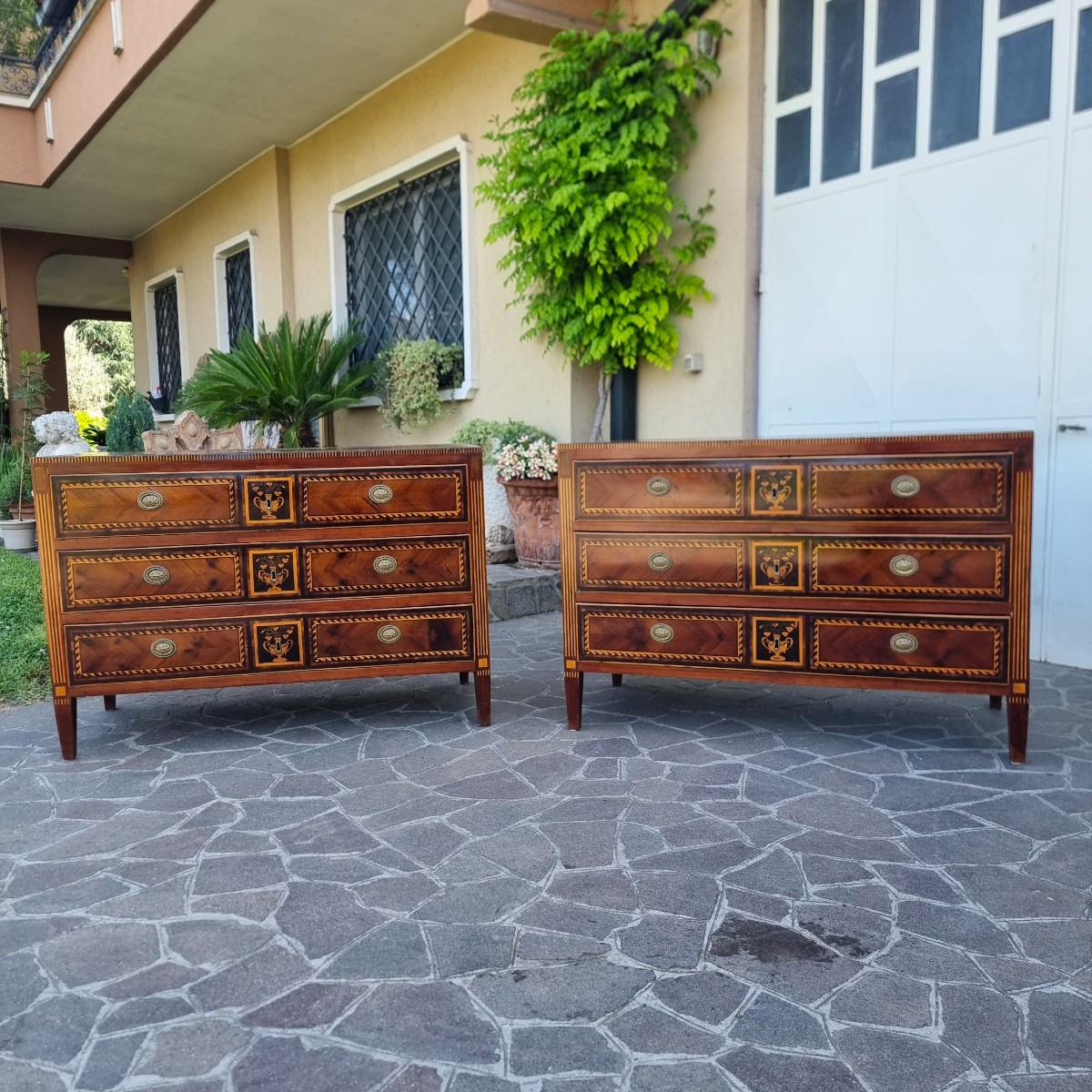 Coppia di cassettoni del 700 Direttorio Napoletani noce acero amaranto e bois de rose