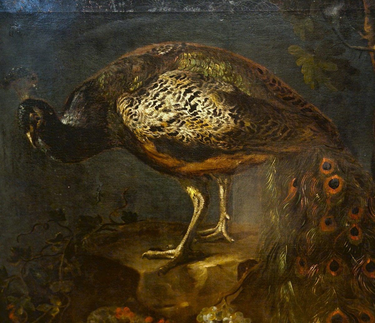 Olio su tela Natura morta con Pavone Baldassarre De Caro 1689-1750 con Expertise-photo-2