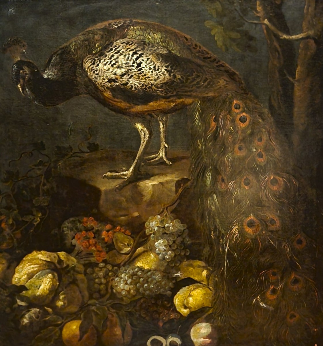 Olio su tela Natura morta con Pavone Baldassarre De Caro 1689-1750 con Expertise-photo-4