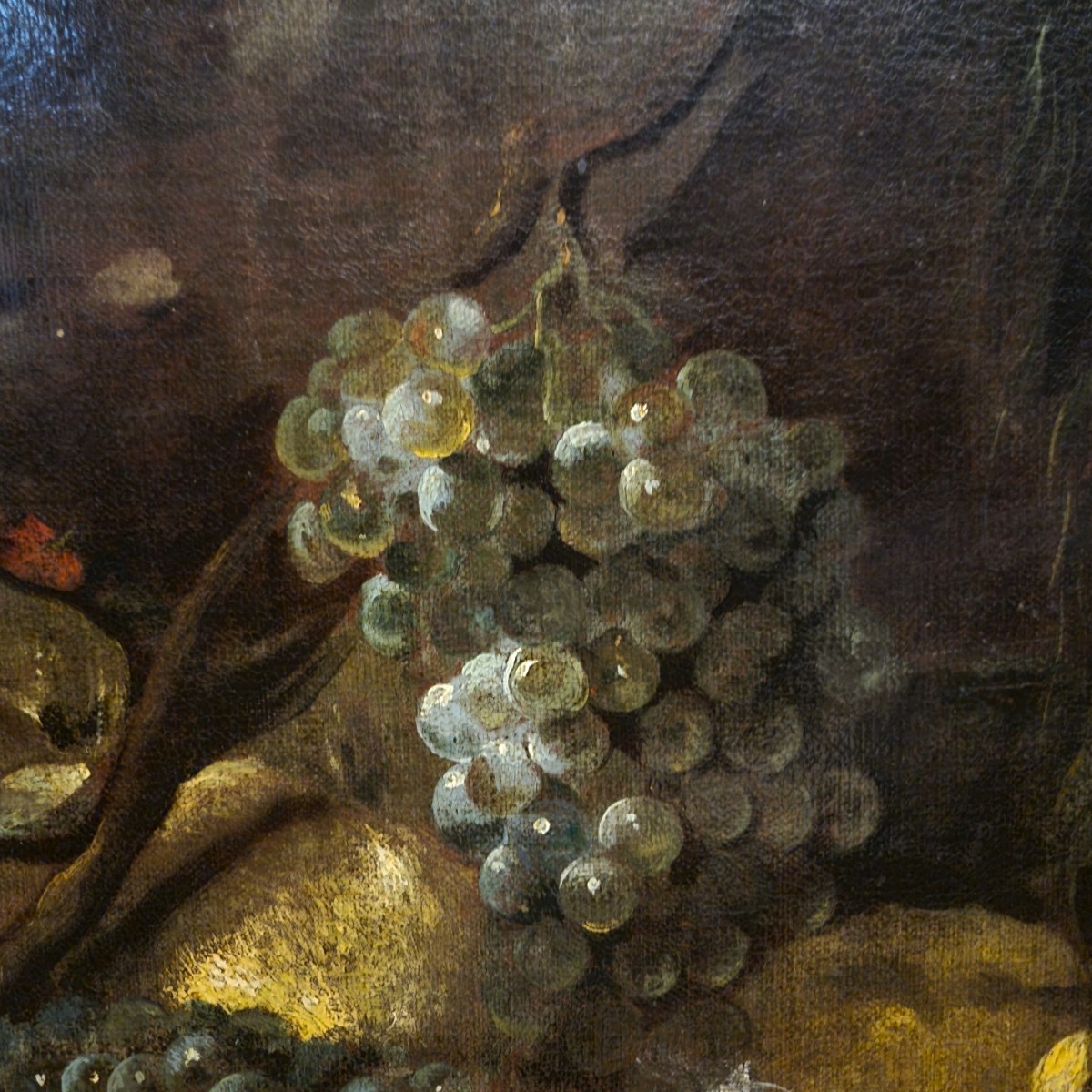 Olio su tela Natura morta con Pavone Baldassarre De Caro 1689-1750 con Expertise-photo-1