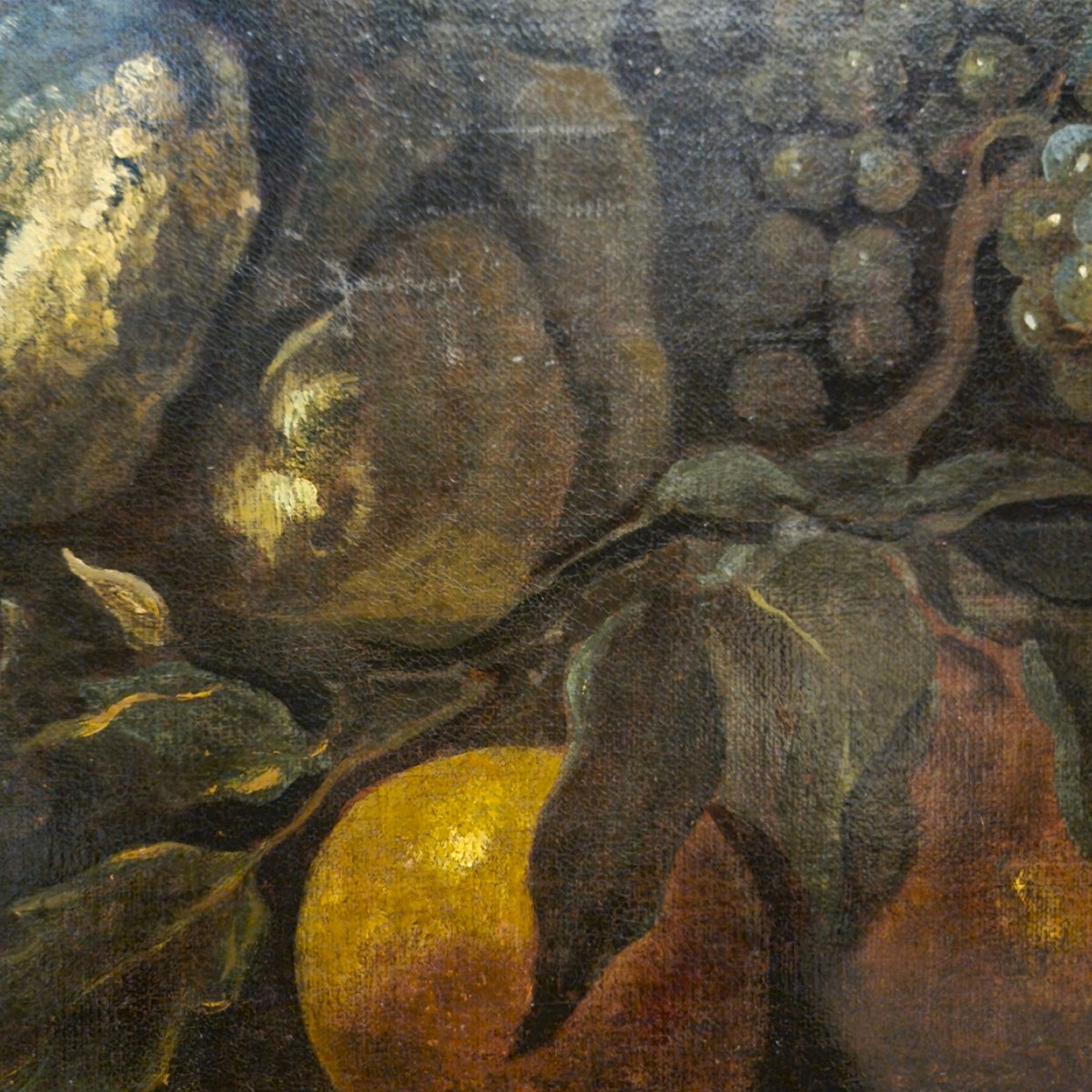 Olio su tela Natura morta con Pavone Baldassarre De Caro 1689-1750 con Expertise-photo-3