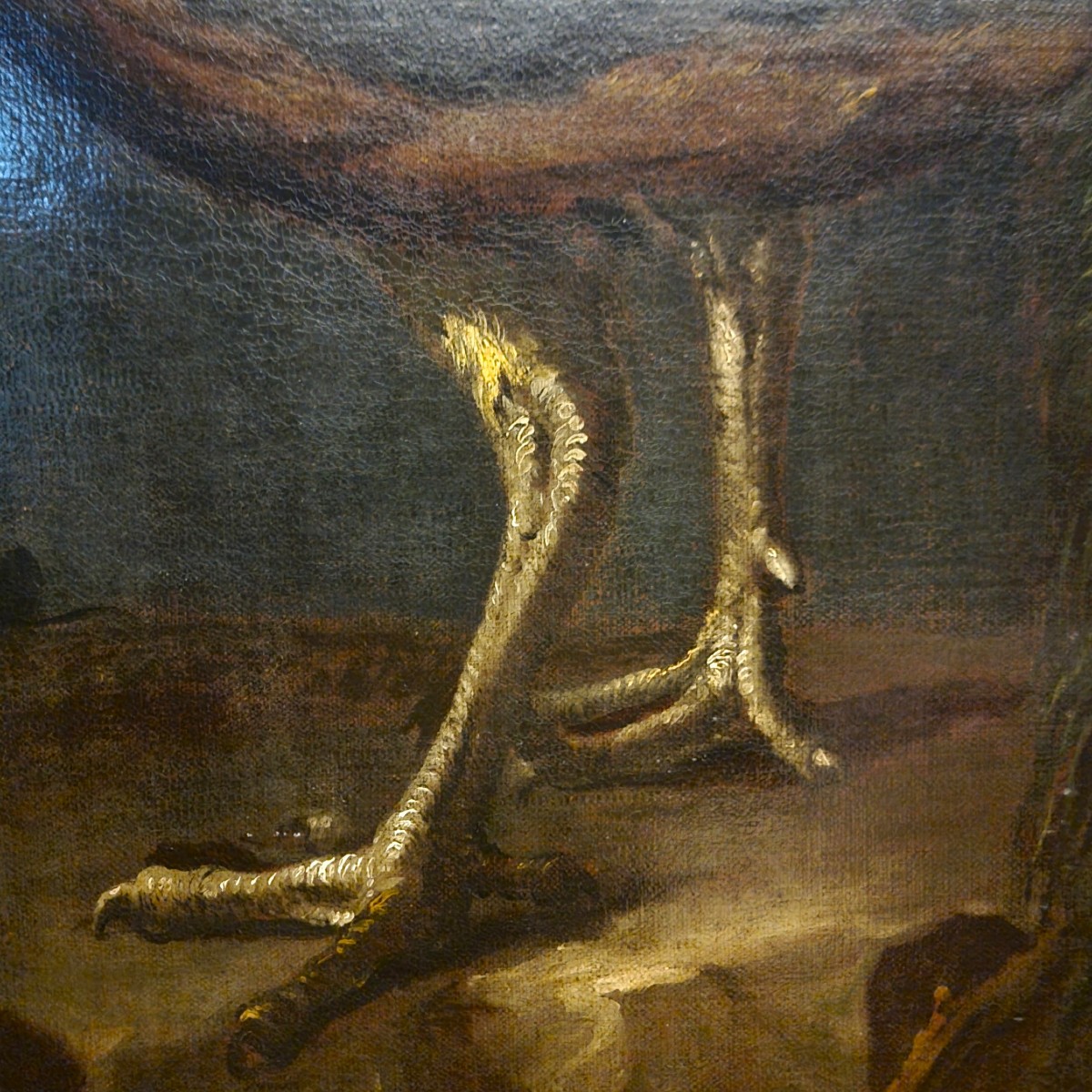 Olio su tela Natura morta con Pavone Baldassarre De Caro 1689-1750 con Expertise-photo-5
