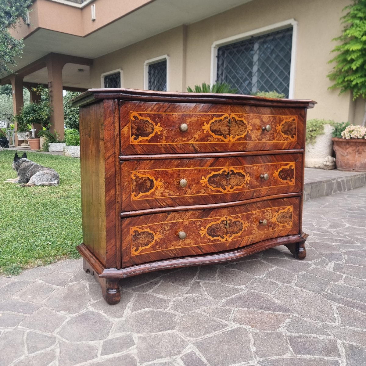 Cassettone lombardo fine 600 in noce con intarsi-photo-4