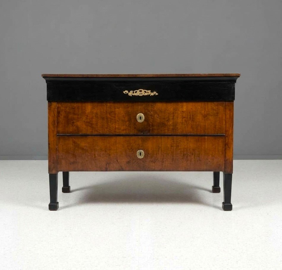 Coppia di cassettoni 1790 Direttorio in noce Bolognesi-photo-2