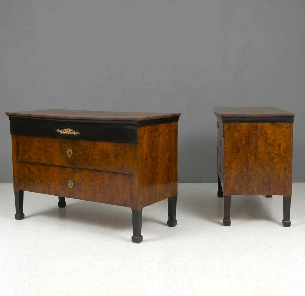 Coppia di cassettoni 1790 Direttorio in noce Bolognesi-photo-3