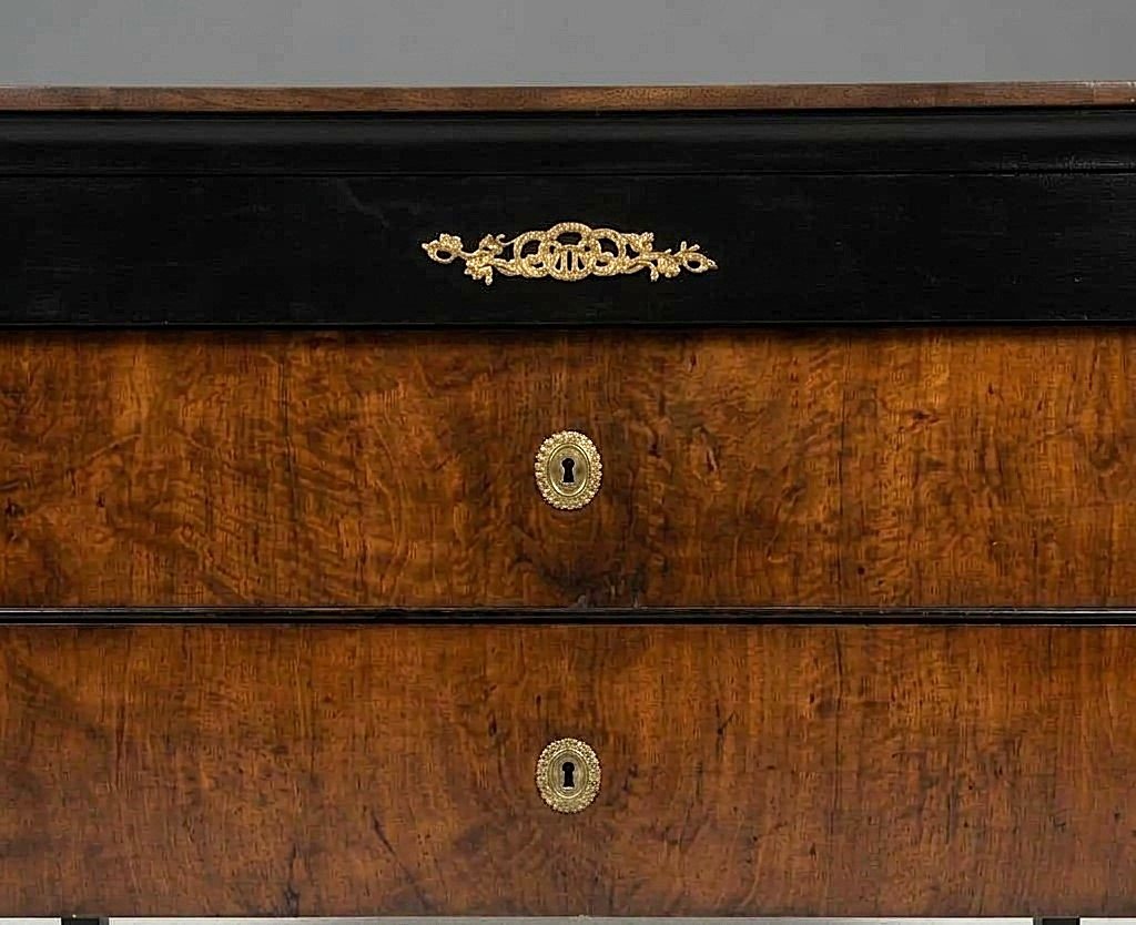 Coppia di cassettoni 1790 Direttorio in noce Bolognesi-photo-1