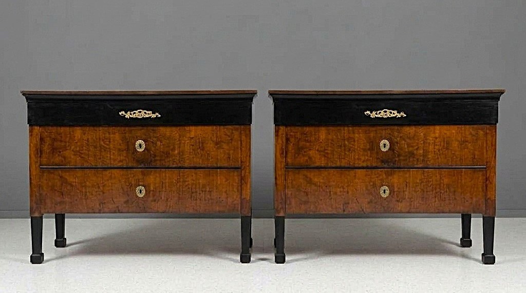 Coppia di cassettoni 1790 Direttorio in noce Bolognesi-photo-4