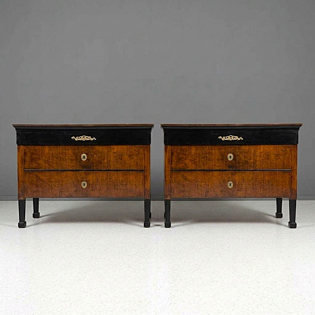 Coppia di cassettoni 1790 Direttorio in noce Bolognesi