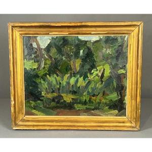 Ruben Gelardi, Undergrowth, Oil On Panel, 1952