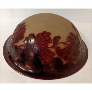 Gall Lamp