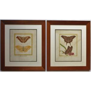 Paire De Gravures Aquarellées, XVIIIe Siècle.