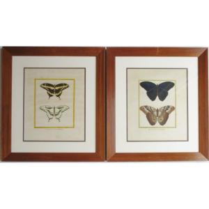 Pair Of Engraving By Martinet, Eighteenth Century.