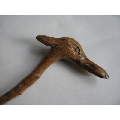 Old Cane, Head Of Egret