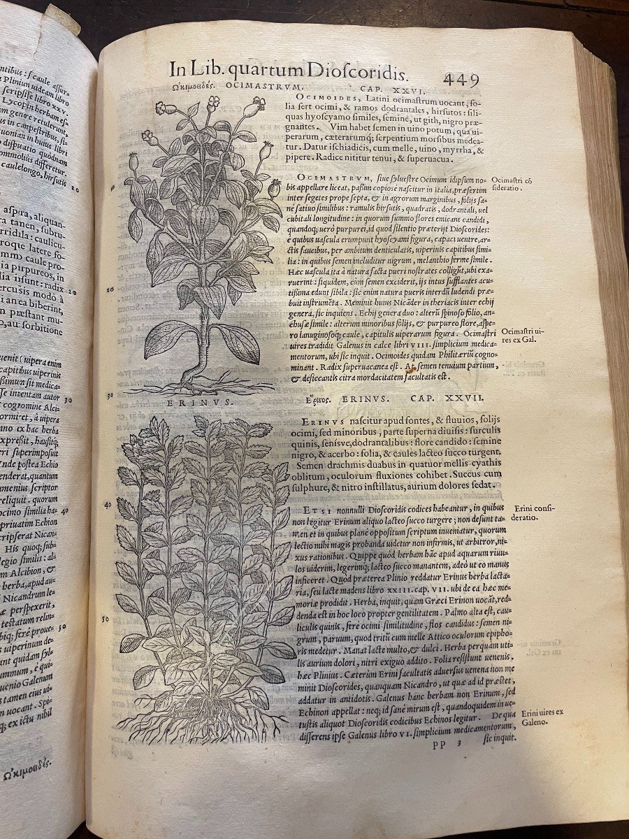 Libro "Medici Senensis" (Erbario) P.A. Mattioli, Valgrisi, Venezia 1554-photo-1