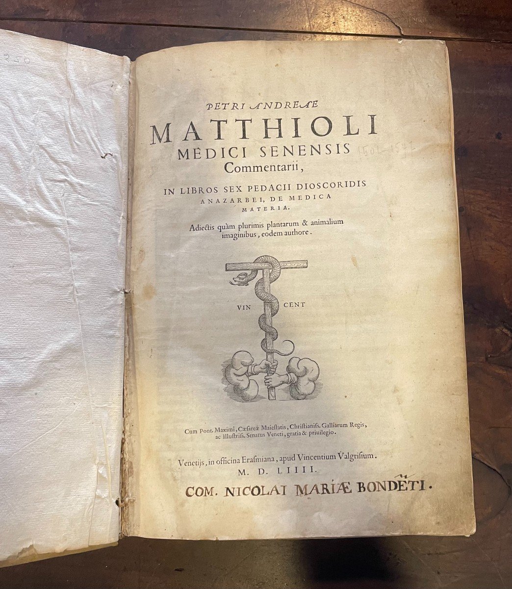 Libro "Medici Senensis" (Erbario) P.A. Mattioli, Valgrisi, Venezia 1554