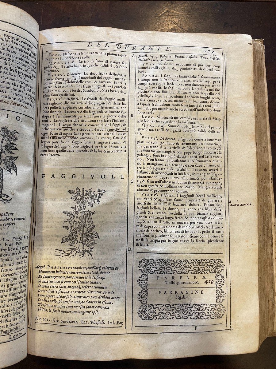 Libro "Herbario Nuovo" di Castore Durante. Bonfadino, Roma 1585-photo-1