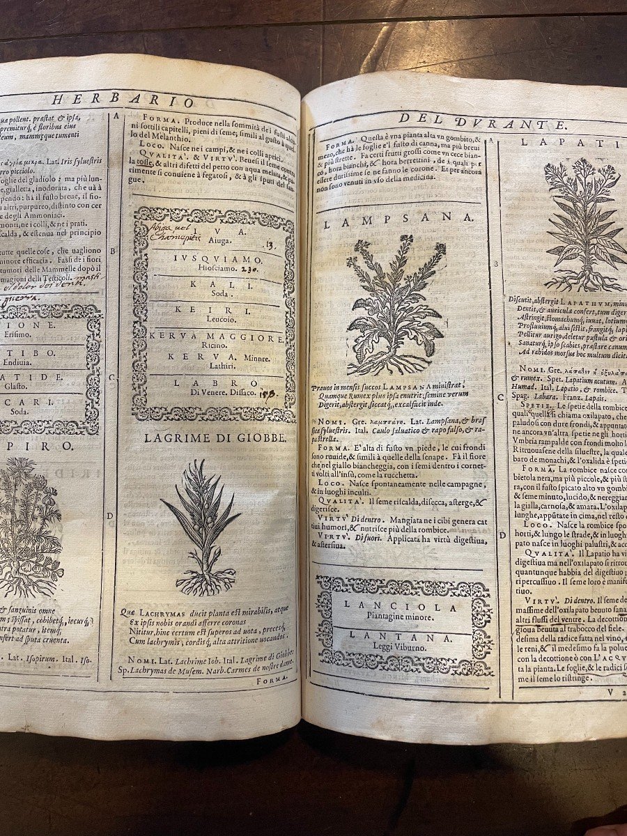 Libro "Herbario Nuovo" di Castore Durante. Bonfadino, Roma 1585