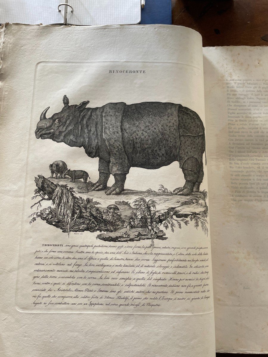 Libro "Zoologia Morale esposta in cento venti discorsi.. ". Battelli, Firenze 1843-photo-1
