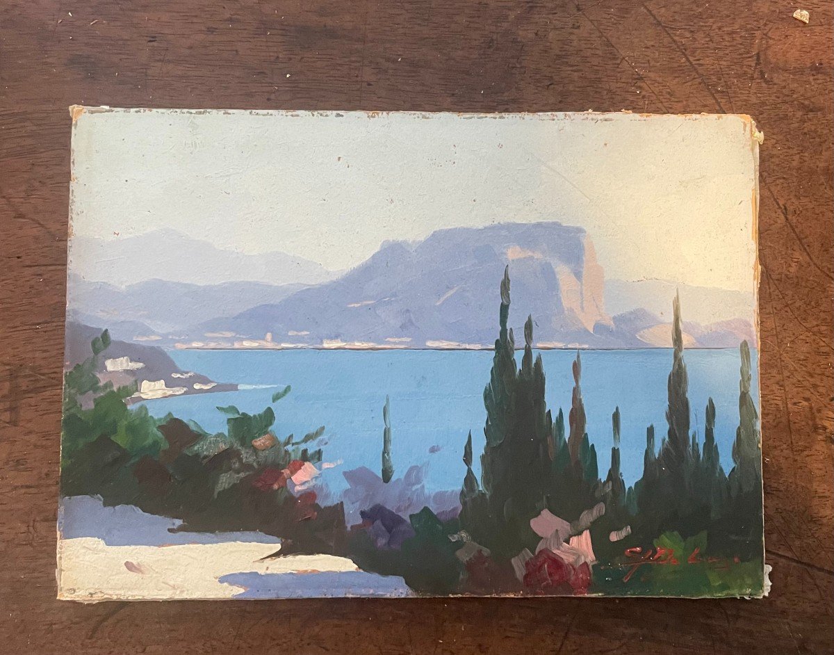   Piccola veduta del lago di Garda di Gino Delai