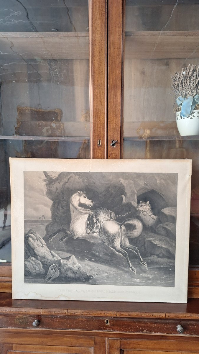 Incisione di Philippe Ledieu 1834. "Cavallo selvaggio sorpreso dalle tigri"-photo-4