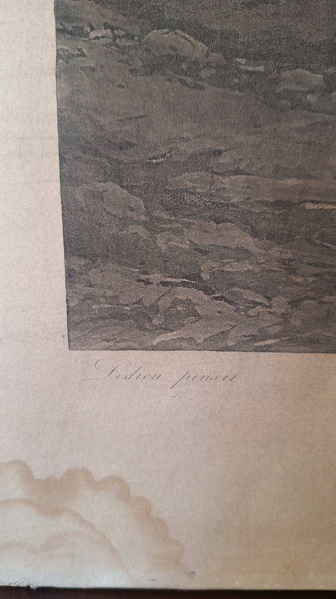 Incisione di Philippe Ledieu, 1834. "Cavalla e puledro attaccati da un giovane toro"-photo-2