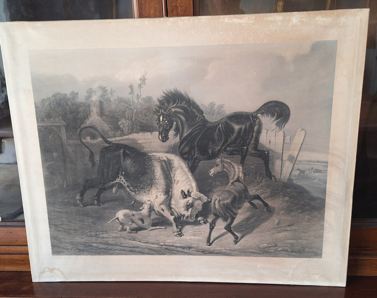Incisione di Philippe Ledieu, 1834. "Cavalla e puledro attaccati da un giovane toro"-photo-4