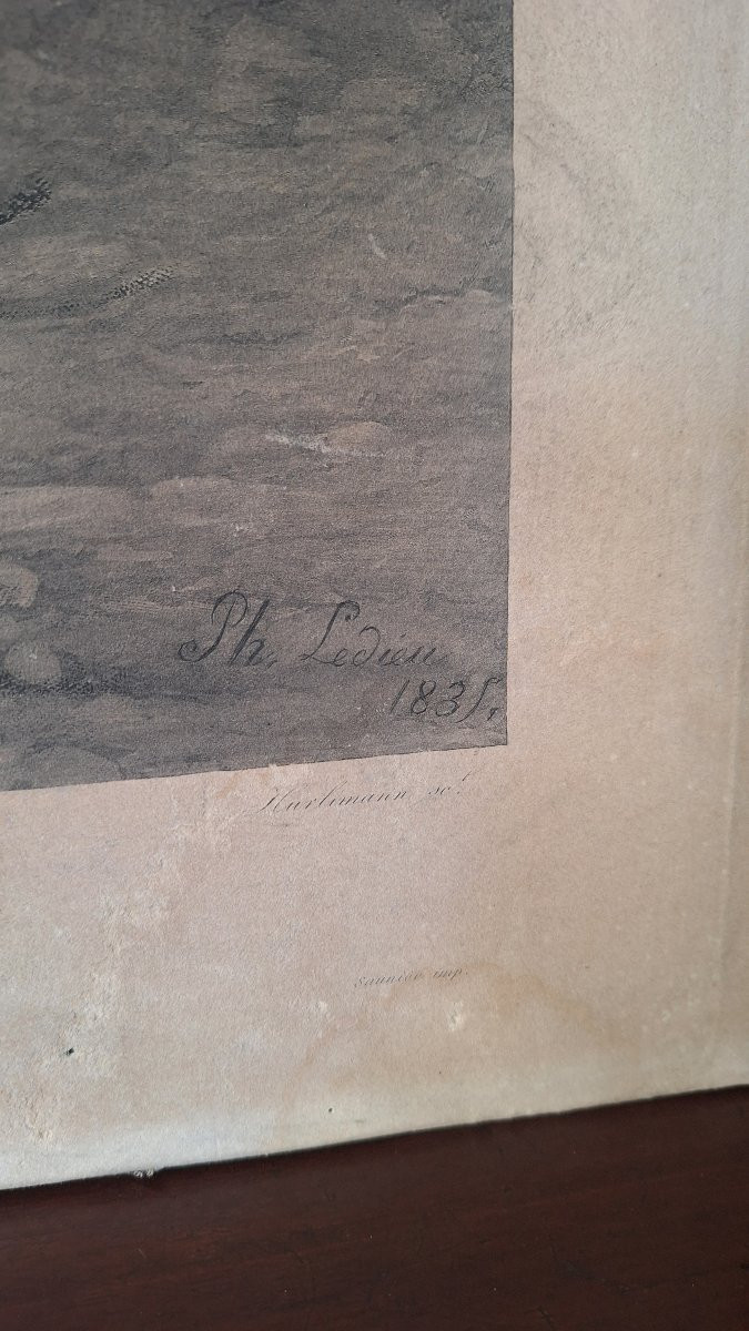Incisione di Philippe Ledieu, 1834. "Cavalla e puledro attaccati da un giovane toro"-photo-2