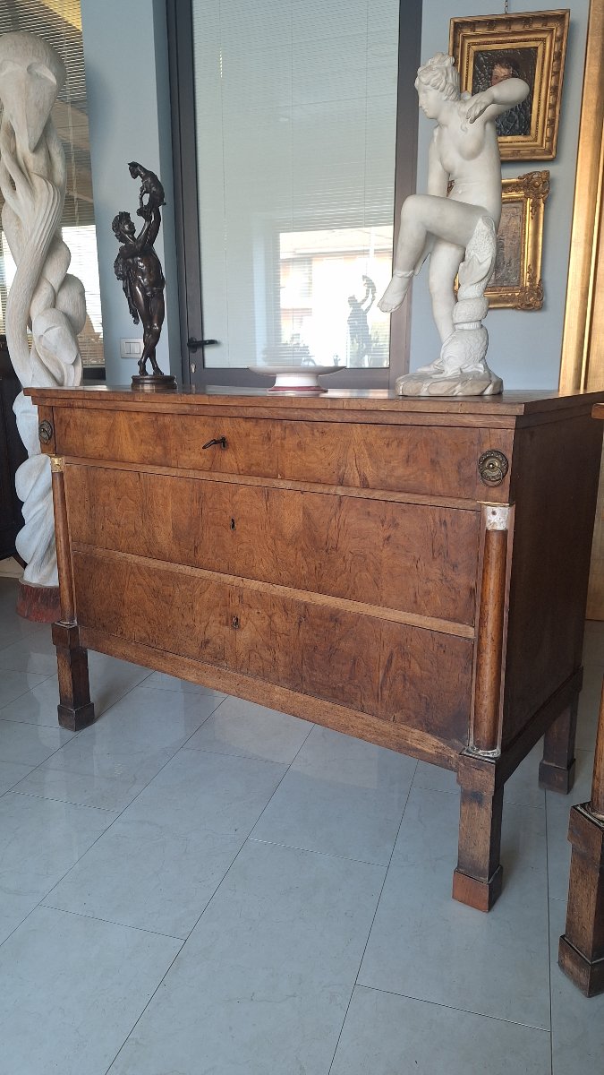 Coppia di cassettoni in stile Impero,a mezza colonna e fronte lastronato in noce-photo-5