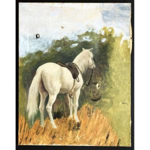 "the White Horse" Oil On Canvas From The 19th Century, Attic Sketch, Unsigned.