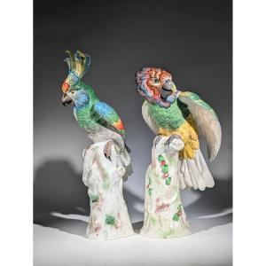 Perched Parrots Porcelain Paris 