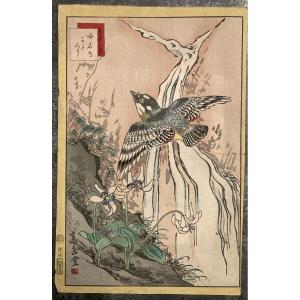 Nakayama Sūgakudō (active 1850-1870), Woodpecker And Erythronium Japonicum, Japanese Print 1859