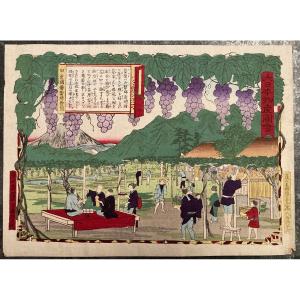 Tokubei Ando (1842-1894) Known As Hiroshige III, Raisins Kai, Japanese Print