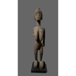 Great Venus Bambara Mali