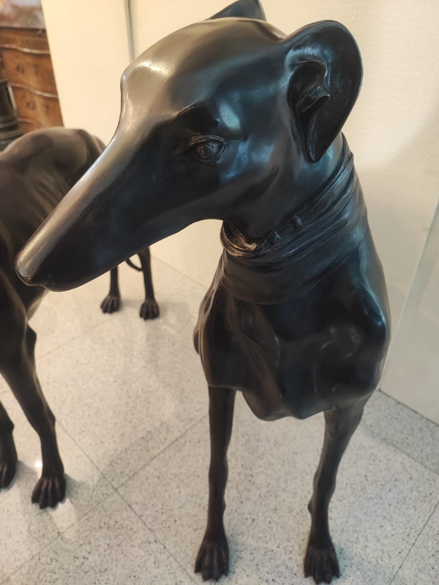 Coppia di levrieri in bronzo-photo-2
