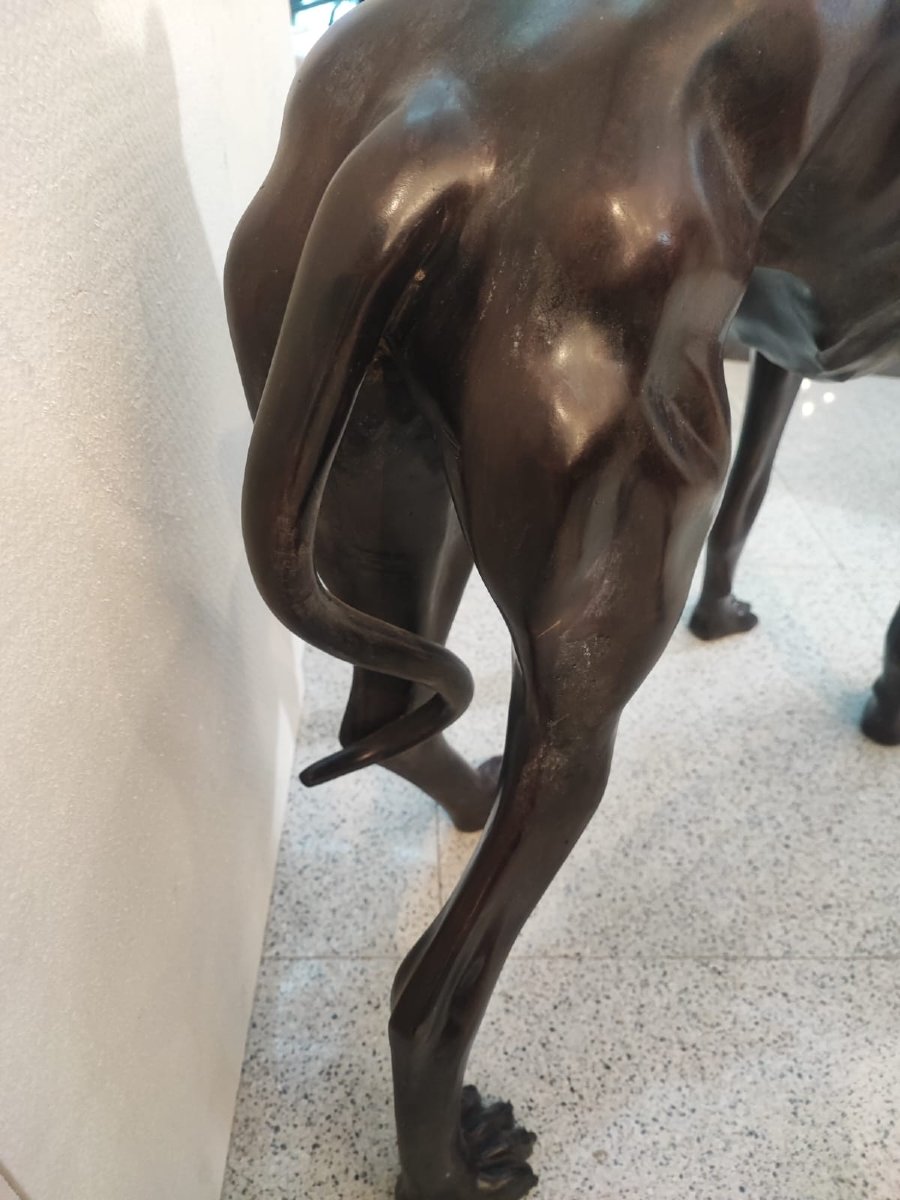 Coppia di levrieri in bronzo-photo-3