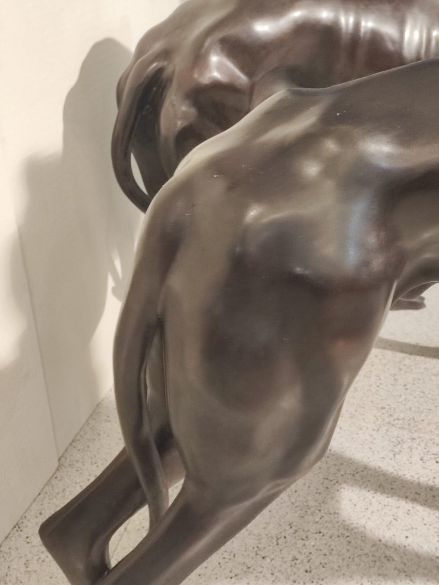 Coppia di levrieri in bronzo-photo-5