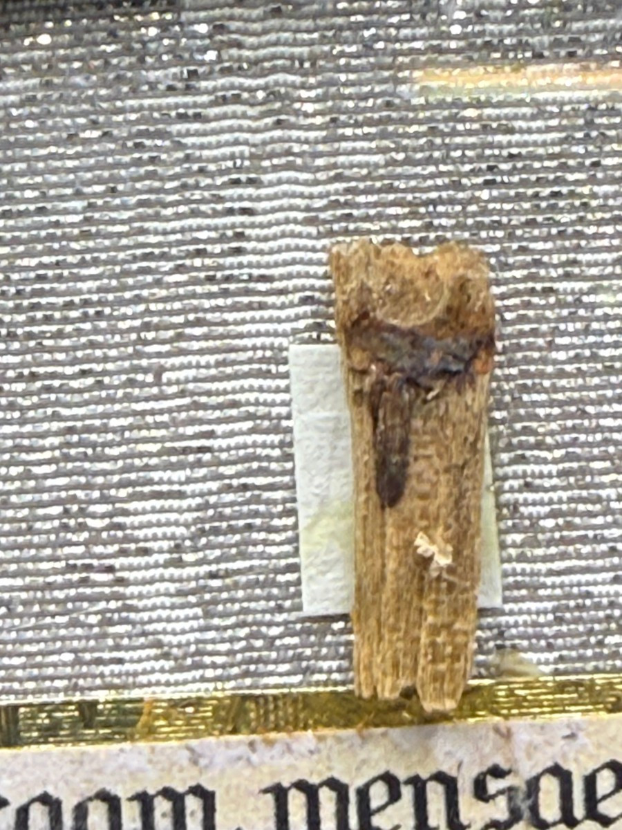 Reliquiario di S.Giovanni Maria Vianney allora ancora Beato-photo-4