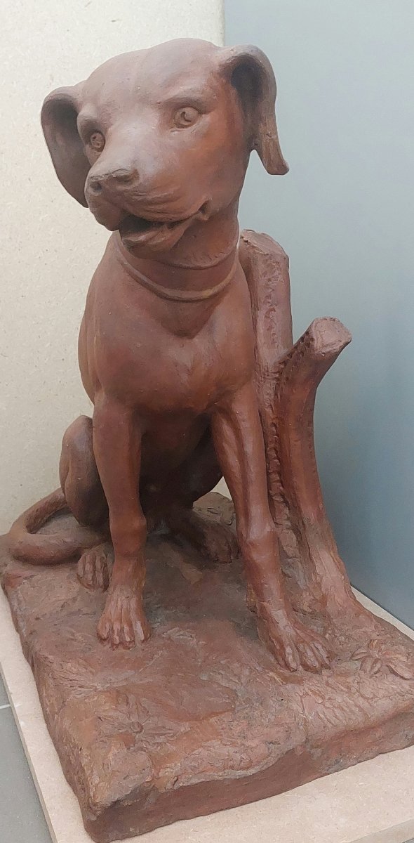 Scultura Settecentesca in Terracotta Patinata – Cane da Caccia, XVIII Secolo-photo-3