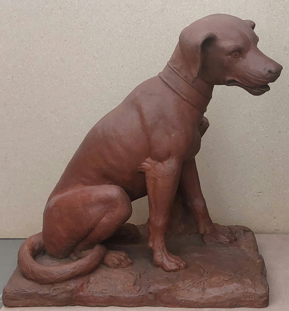 Scultura Settecentesca in Terracotta Patinata – Cane da Caccia, XVIII Secolo-photo-4